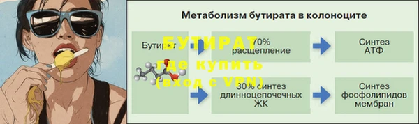 шишки Гусиноозёрск