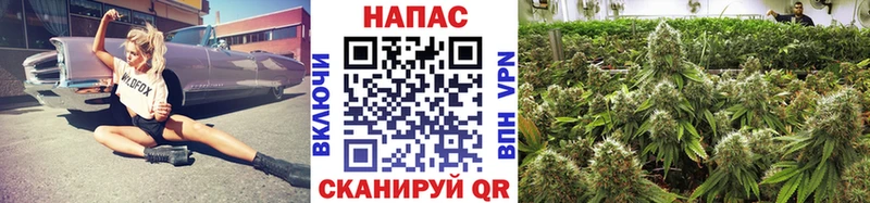 где продают   Навашино  Каннабис ГИДРОПОН 